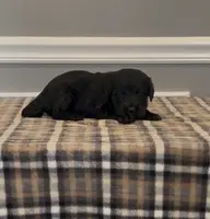 processed/430bd1b6-6842-4d37-a55a-eae3b7f43ea6/listing/dc25d2ad-e60a-4409-9ae0-353370a00b6a/29254526-8d05-4ef1-96bf-a40adc2ff4a7