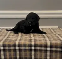 processed/430bd1b6-6842-4d37-a55a-eae3b7f43ea6/listing/dc25d2ad-e60a-4409-9ae0-353370a00b6a/3f8f5a5f-871c-4caa-a0ee-05a1f0e754da