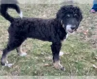 processed/430bd1b6-6842-4d37-a55a-eae3b7f43ea6/listing/f17b313a-43ff-429a-a2e9-b10c8552ae1c/f71098ea-737d-4834-ba9b-84a6c780ab30