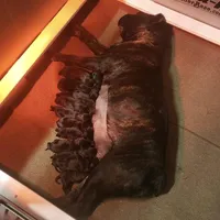 processed/4314ff61-2a94-49b8-9ce5-95dd97a04bca/facility/1800f467-b9a7-4327-b9a6-b4e85f75f4a5