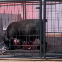 processed/4314ff61-2a94-49b8-9ce5-95dd97a04bca/facility/46326b4f-83ce-4877-ae3e-4b3c6e2fe848