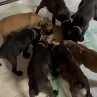 processed/4314ff61-2a94-49b8-9ce5-95dd97a04bca/facility/4f3a2db5-0c8f-4787-9080-6878e68ca1a5