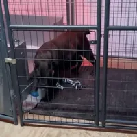 processed/4314ff61-2a94-49b8-9ce5-95dd97a04bca/facility/58c9b997-cc68-4996-a2db-fac26d3e2f56