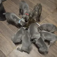 processed/4314ff61-2a94-49b8-9ce5-95dd97a04bca/facility/72887832-ddbe-49d9-b1ff-acbb52be3ec3