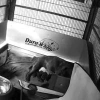 processed/4314ff61-2a94-49b8-9ce5-95dd97a04bca/facility/b6b9eb0b-f1f1-40b9-ba35-a5b1b496fe40