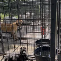 processed/4314ff61-2a94-49b8-9ce5-95dd97a04bca/facility/dfb46c53-3a5c-44a8-b9b7-324bf15396dc