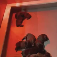 processed/4314ff61-2a94-49b8-9ce5-95dd97a04bca/facility/fe833a0f-6288-434e-a8d4-7219386ed731