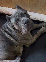 processed/4314ff61-2a94-49b8-9ce5-95dd97a04bca/listing/a3585cf5-65d8-4ba5-b88a-5f7773c6eec1/63d08e4c-2c34-429f-9a06-c09c1cb2ad51