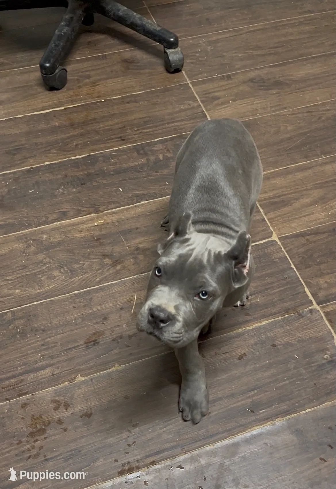 processed/4314ff61-2a94-49b8-9ce5-95dd97a04bca/listing/a3585cf5-65d8-4ba5-b88a-5f7773c6eec1/79fc3c4d-9e31-4b87-ab61-f4c11de9aba9