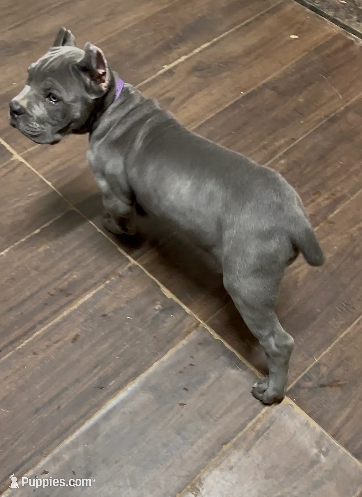 processed/4314ff61-2a94-49b8-9ce5-95dd97a04bca/listing/a3585cf5-65d8-4ba5-b88a-5f7773c6eec1/99bc8fe5-290f-4da3-ae6a-f339fdf5997b