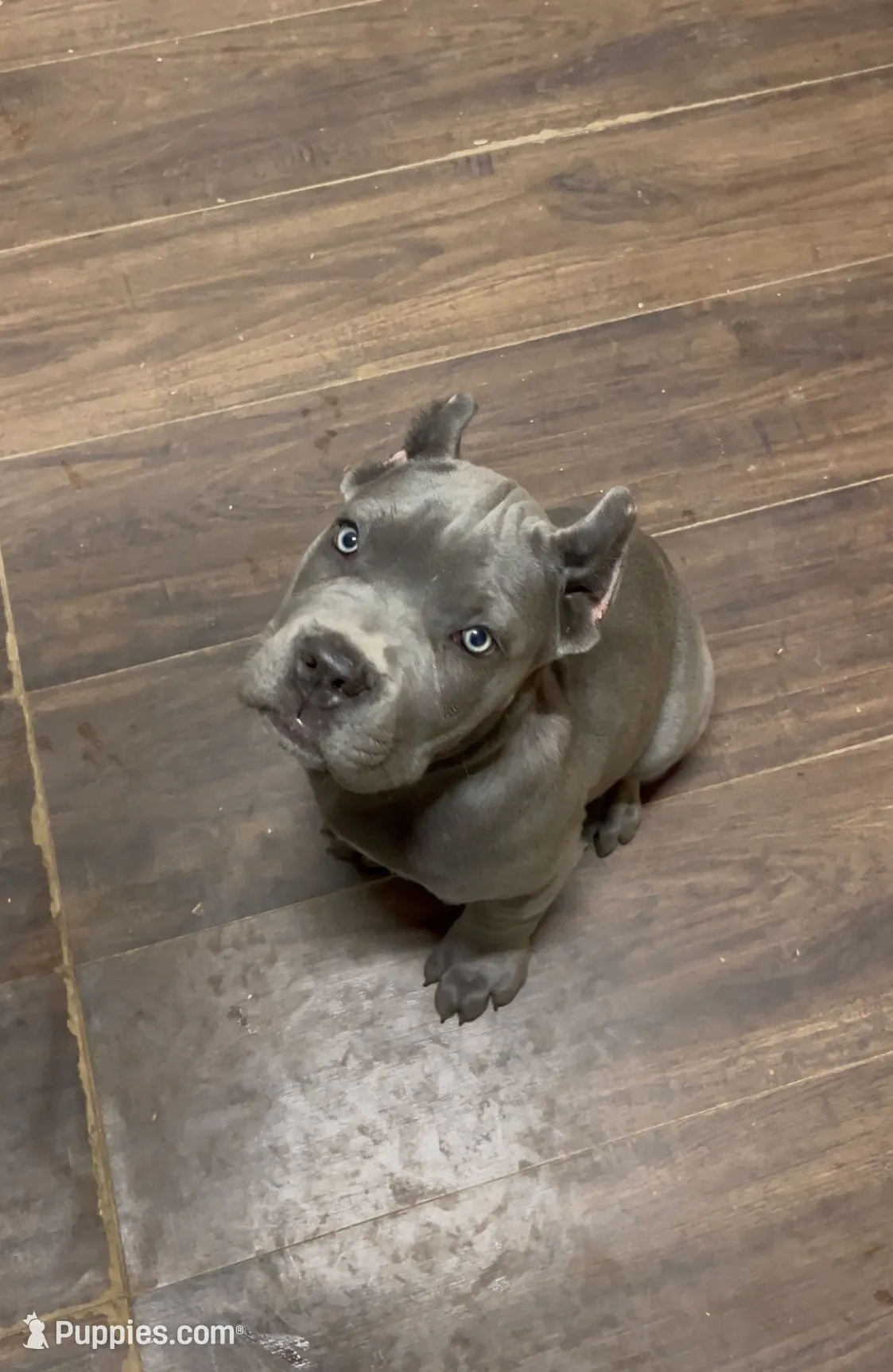 processed/4314ff61-2a94-49b8-9ce5-95dd97a04bca/listing/a3585cf5-65d8-4ba5-b88a-5f7773c6eec1/d6e03f8c-c029-47b0-b86b-c2ed0c2a256c