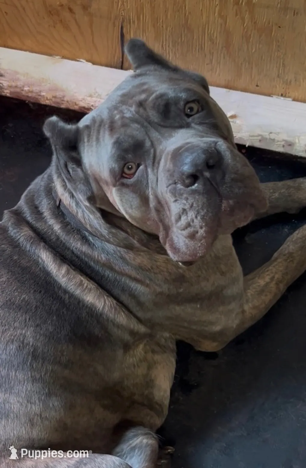 processed/4314ff61-2a94-49b8-9ce5-95dd97a04bca/listing/b13e1e50-d3c6-4684-9140-fac05097cb94/554c9676-bb22-4748-8f33-16e8949cbe80