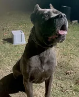 processed/4314ff61-2a94-49b8-9ce5-95dd97a04bca/listing/b13e1e50-d3c6-4684-9140-fac05097cb94/fc69dbd7-d018-489c-acb8-636e32a23c39