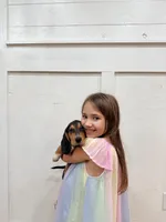 Poppy, a female Beagle for sale in Bardstown, KY – 2 of 3