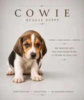 Cowie, a male Beagle for sale in Bardstown, KY – 1 of 1