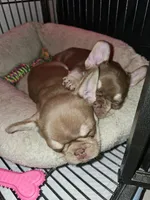 processed/432f1013-e986-4483-ad58-3d1e09faf50c/facility/33388c6d-52d4-4088-8432-bd2de608c509