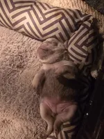 processed/432f1013-e986-4483-ad58-3d1e09faf50c/facility/3ee2c286-dc90-49d0-a07e-8f0f0ab82553