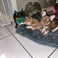 processed/432f1013-e986-4483-ad58-3d1e09faf50c/facility/559e51d9-fec8-461c-a827-2ca31da40033