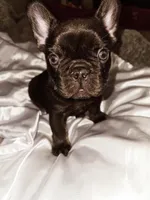 processed/432f1013-e986-4483-ad58-3d1e09faf50c/facility/8fce69b9-01f7-4af8-8f24-e0089240031b