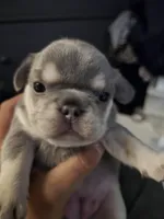 processed/432f1013-e986-4483-ad58-3d1e09faf50c/facility/bb8efc3a-b849-40aa-9bad-46deb0f89941