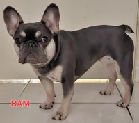 processed/432f1013-e986-4483-ad58-3d1e09faf50c/facility/bc9bd965-d9b8-49ca-b73b-b814cdfbd50e