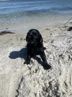 processed/4330cb6d-c8d4-4fc8-a525-f493df989a99/facility/32bd0ea6-26aa-40c8-965a-4e951c0795ec