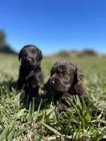 processed/4330cb6d-c8d4-4fc8-a525-f493df989a99/facility/3b2a4b15-fbfe-4d2e-aa2e-e33da763867e