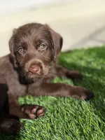 processed/4330cb6d-c8d4-4fc8-a525-f493df989a99/facility/6a4264c8-b5c7-4ef2-861b-a76f58c9bf21