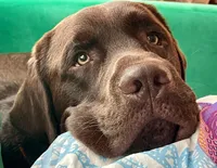 processed/4330cb6d-c8d4-4fc8-a525-f493df989a99/facility/d0684e7c-aae1-4636-b3fd-e87c3d99f8a8