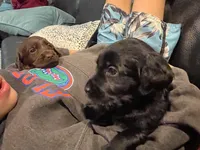 processed/4330cb6d-c8d4-4fc8-a525-f493df989a99/facility/d775f6f7-5718-4b38-8c75-9f9ddd27d3ef