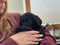 processed/4330cb6d-c8d4-4fc8-a525-f493df989a99/facility/d8b762ae-8c93-4731-8810-b8ff42b1c4ef