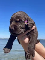 processed/4330cb6d-c8d4-4fc8-a525-f493df989a99/facility/fcf8355e-ebdc-42c0-8af3-8e14aaf48211