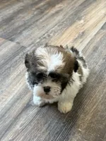 processed/433a9875-db36-4cf1-96ec-dd33106a8335/listing/92f710d3-233a-455f-8afa-4bbf3a5fb361/1396e9e8-e329-45aa-95b2-c3beb6c0f19a