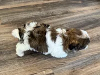 processed/433a9875-db36-4cf1-96ec-dd33106a8335/listing/92f710d3-233a-455f-8afa-4bbf3a5fb361/46fe3f47-bb1b-4b8b-bc89-ab5feb4871f5