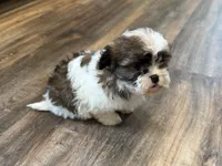 processed/433a9875-db36-4cf1-96ec-dd33106a8335/listing/92f710d3-233a-455f-8afa-4bbf3a5fb361/61600bd2-7384-497e-9a10-099d6351f383