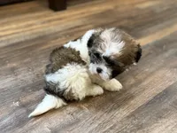 processed/433a9875-db36-4cf1-96ec-dd33106a8335/listing/92f710d3-233a-455f-8afa-4bbf3a5fb361/7c1b399b-8a0e-45bd-b01b-ea13f93ea847