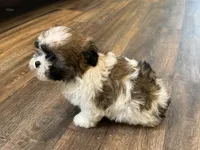 processed/433a9875-db36-4cf1-96ec-dd33106a8335/listing/92f710d3-233a-455f-8afa-4bbf3a5fb361/81317416-e7a2-42bb-8d01-6b47d14bf37c