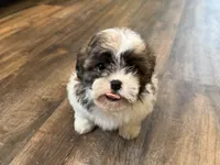 processed/433a9875-db36-4cf1-96ec-dd33106a8335/listing/92f710d3-233a-455f-8afa-4bbf3a5fb361/f82df88a-baf3-4f2c-b4a8-42e57a0cf3e4