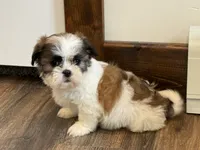 processed/433a9875-db36-4cf1-96ec-dd33106a8335/listing/a1fbc2fd-0022-4bce-921b-7eb524cd1be9/1189ffe1-d0eb-4888-acec-6e05e9da211e