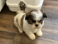 processed/433a9875-db36-4cf1-96ec-dd33106a8335/listing/a1fbc2fd-0022-4bce-921b-7eb524cd1be9/2a423074-88e9-4ff8-8033-70d062097dc5