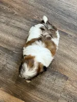 processed/433a9875-db36-4cf1-96ec-dd33106a8335/listing/a1fbc2fd-0022-4bce-921b-7eb524cd1be9/8128b1b6-31ea-4b95-bae2-aecf5d475cec