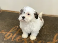 processed/433a9875-db36-4cf1-96ec-dd33106a8335/listing/c95cb46a-9f95-424c-8b52-65609c83dbe7/03c2f868-de0d-401e-80c4-744a7baf9943