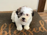 processed/433a9875-db36-4cf1-96ec-dd33106a8335/listing/c95cb46a-9f95-424c-8b52-65609c83dbe7/06da8afc-b827-4e83-b6e8-47bf89959370