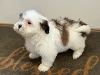 processed/433a9875-db36-4cf1-96ec-dd33106a8335/listing/c95cb46a-9f95-424c-8b52-65609c83dbe7/0e0d1fbb-793d-4a20-b945-737c2a2e1ab9