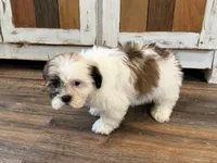 processed/433a9875-db36-4cf1-96ec-dd33106a8335/listing/c95cb46a-9f95-424c-8b52-65609c83dbe7/56b38b40-e301-4c11-98fc-08ac9aed9e76