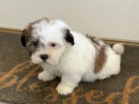 processed/433a9875-db36-4cf1-96ec-dd33106a8335/listing/c95cb46a-9f95-424c-8b52-65609c83dbe7/5b9066b7-0eb4-4687-8b48-0b952e606cf9