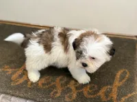 processed/433a9875-db36-4cf1-96ec-dd33106a8335/listing/c95cb46a-9f95-424c-8b52-65609c83dbe7/919ee7f8-2835-4a5b-8f71-84fa0b283a01