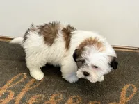 processed/433a9875-db36-4cf1-96ec-dd33106a8335/listing/c95cb46a-9f95-424c-8b52-65609c83dbe7/c2425bfa-f44f-4a57-80b1-18793f277bb7