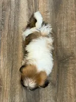 processed/433a9875-db36-4cf1-96ec-dd33106a8335/listing/db52be92-be16-4ea4-a8e9-1fa2e06dc160/03249334-76e0-4e16-b193-0ffa7728f598