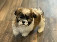 processed/433a9875-db36-4cf1-96ec-dd33106a8335/listing/db52be92-be16-4ea4-a8e9-1fa2e06dc160/2a1057d8-2227-4ce3-95de-e2b32ecf9f03